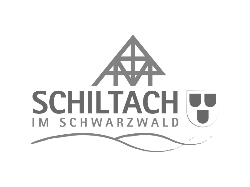 Stadt Schiltach